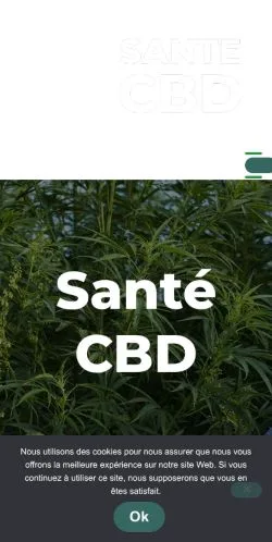 Podgląd witryny Santé CBD, medium z kraju Francja do artykułów sponsorowanych