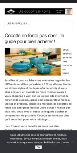 Pré-visualização do site Cocotte En Fonte Pas Cher, meio de França para artigos patrocinados