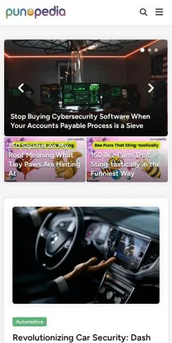 Preview of the Punopedia website, a media outlet in United States for sponsored articles