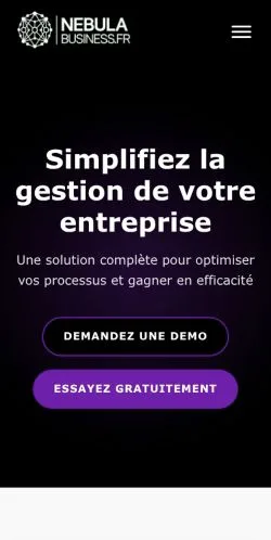 Anteprima del sito Nebula Business, media di Francia per articoli sponsorizzati