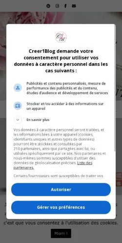 Anteprima del sito Maman Blogueuse, media di Francia per articoli sponsorizzati