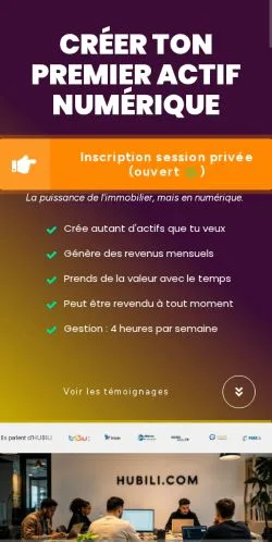 Preview of the HUBILI website, a media outlet in France for sponsored articles