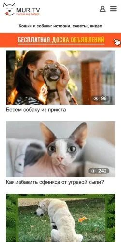 Forhåndsvisning af Mur TV, medie fra Rusland til sponsorerede artikler