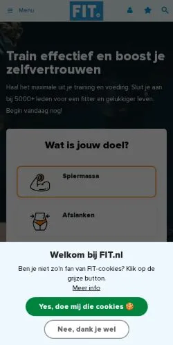 スポンサード記事向けのオランダメディア、FITのサイトプレビュー