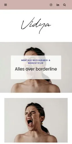 Vista previa del sitio Vidya, medio de Países Bajos para artículos patrocinados