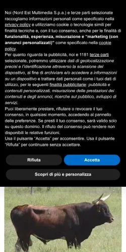 Vorschau der Website Messaggero Veneto, Medium aus Italien für gesponserte Artikel