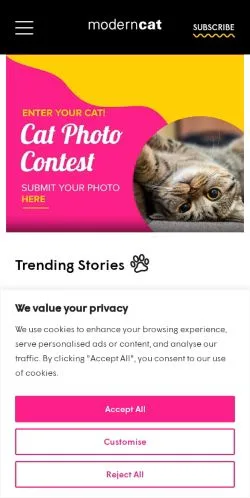 Forhåndsvisning av nettstedet Modern Cat, medium fra USA for sponsede artikler
