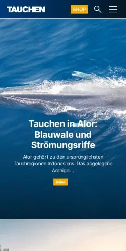Preview of the TAUCHEN website, a media outlet in Germany for sponsored articles