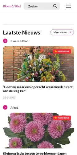 스폰서 기사용 네덜란드 매체 Bloem & Blad 사이트 미리보기
