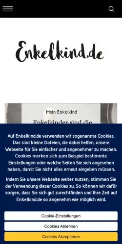スポンサード記事向けのドイツメディア、Enkelkindのサイトプレビュー
