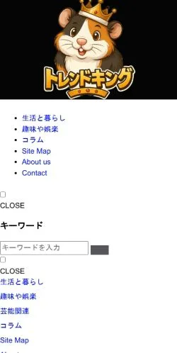 Aperçu du site Trend King, média de Japon pour articles sponsorisés