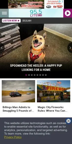 Preview of the 95.5 LITE-FM website, a media outlet in United States for sponsored articles
