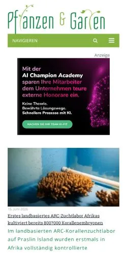 Podgląd witryny Blumen-Bibel, medium z kraju Niemcy do artykułów sponsorowanych