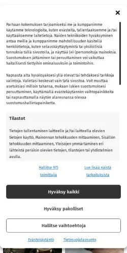 Anteprima del sito Tyyliniekka, media di Finlandia per articoli sponsorizzati