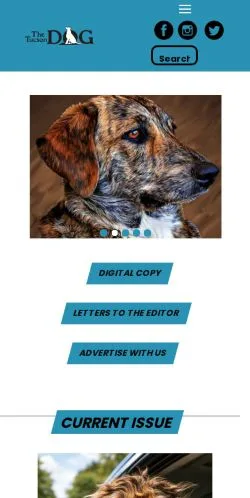 Anteprima del sito The Tucson Dog, media di Stati Uniti per articoli sponsorizzati