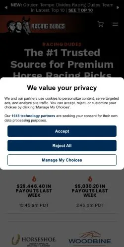 スポンサード記事向けのアメリカ合衆国メディア、Racing Dudesのサイトプレビュー