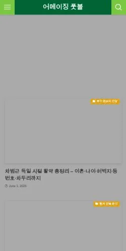 Anteprima del sito Amazing Football, media di Corea del Sud per articoli sponsorizzati
