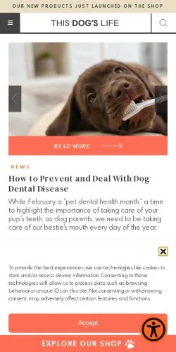 스폰서 기사용 미국 매체 This Dogs Life 사이트 미리보기