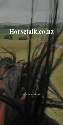 Anteprima del sito Horsetalk.co.nz, media di Stati Uniti per articoli sponsorizzati
