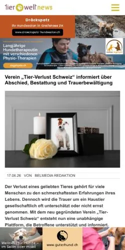 Anteprima del sito Tierwelt, media di Germania per articoli sponsorizzati