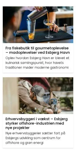 Anteprima del sito esbjergensere.dk, media di Danimarca per articoli sponsorizzati