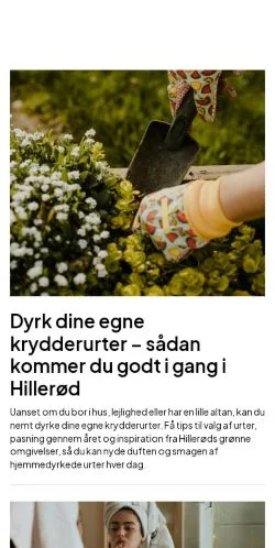 스폰서 기사용 덴마크 매체 hilleroedavisen.dk 사이트 미리보기