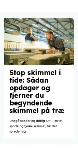 Voorbeeld van de site jerestoemrer.dk, medium uit Denemarken voor gesponsorde artikelen