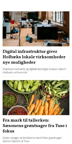 Pré-visualização do site omholbaek.dk, meio de Dinamarca para artigos patrocinados