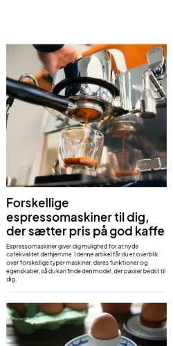 スポンサード記事向けのデンマークメディア、soenderborgsnak.dkのサイトプレビュー