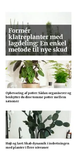 Anteprima del sito voresplanter.dk, media di Danimarca per articoli sponsorizzati
