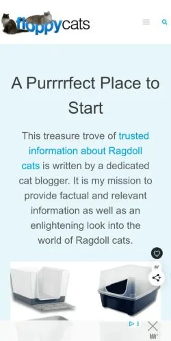 Forhåndsvisning av nettstedet Floppycats™, medium fra USA for sponsede artikler