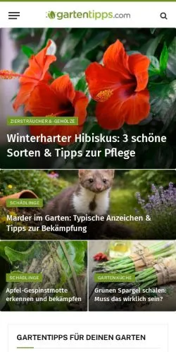 Pré-visualização do site Gartentipps, meio de Alemanha para artigos patrocinados