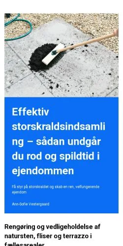 Anteprima del sito danskejendomsservice.dk, media di Danimarca per articoli sponsorizzati