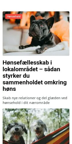 Anteprima del sito dyreforum.dk, media di Danimarca per articoli sponsorizzati