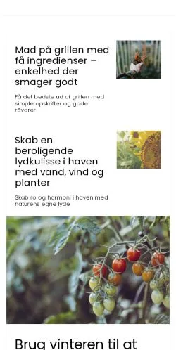 Anteprima del sito havetanker.dk, media di Danimarca per articoli sponsorizzati