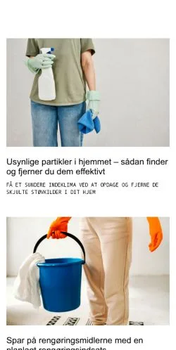 Anteprima del sito lokalrengoering.dk, media di Danimarca per articoli sponsorizzati