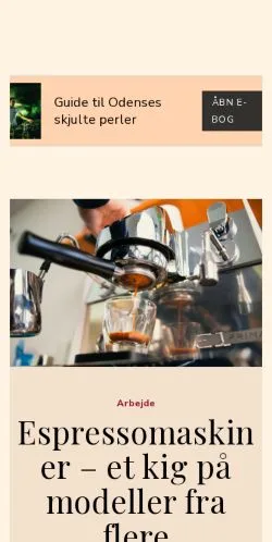 Pré-visualização do site odensetidende.dk, meio de Dinamarca para artigos patrocinados