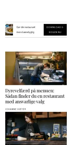 Podgląd witryny restaurantzonen.dk, medium z kraju Dania do artykułów sponsorowanych
