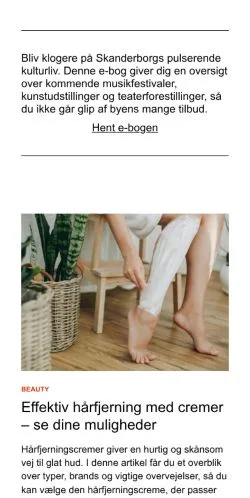 Preview of the skanderborg24.dk website, a media outlet in Denmark for sponsored articles