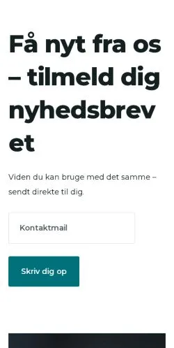 Podgląd witryny smykkeliv.dk, medium z kraju Dania do artykułów sponsorowanych