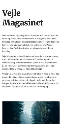 Anteprima del sito vejlemagasinet.dk, media di Danimarca per articoli sponsorizzati