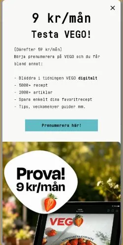 Podgląd witryny Vego, medium z kraju Szwecja do artykułów sponsorowanych