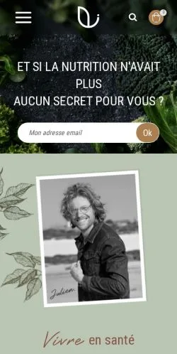 Anteprima del sito Julien Venesson Médias, media di Francia per articoli sponsorizzati