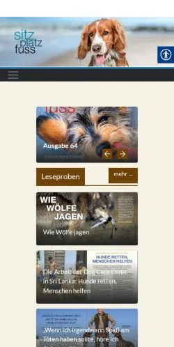 スポンサード記事向けのドイツメディア、SitzPlatzFussのサイトプレビュー
