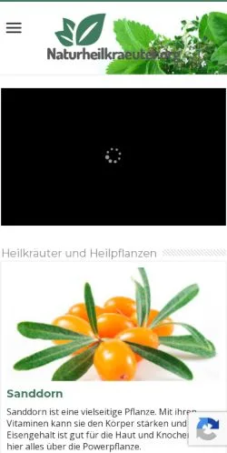 Anteprima del sito Naturheilkraeuter Magazin, media di Germania per articoli sponsorizzati