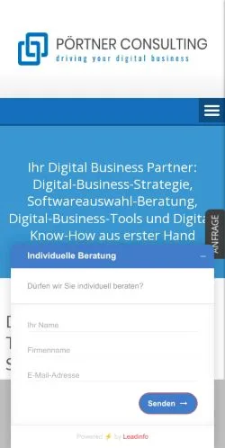 Anteprima del sito Pörtner Consulting, media di Germania per articoli sponsorizzati