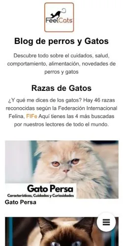 Forhåndsvisning af FeelCats, medie fra Spanien til sponsorerede artikler