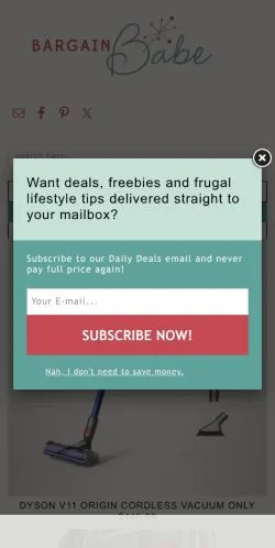 Forhåndsvisning af Bargain Babe, medie fra USA til sponsorerede artikler