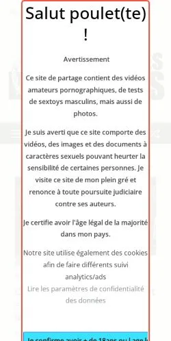 Anteprima del sito Club des Branleurs, media di Francia per articoli sponsorizzati