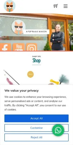 Anteprima del sito Perfectekat, media di Paesi Bassi per articoli sponsorizzati
